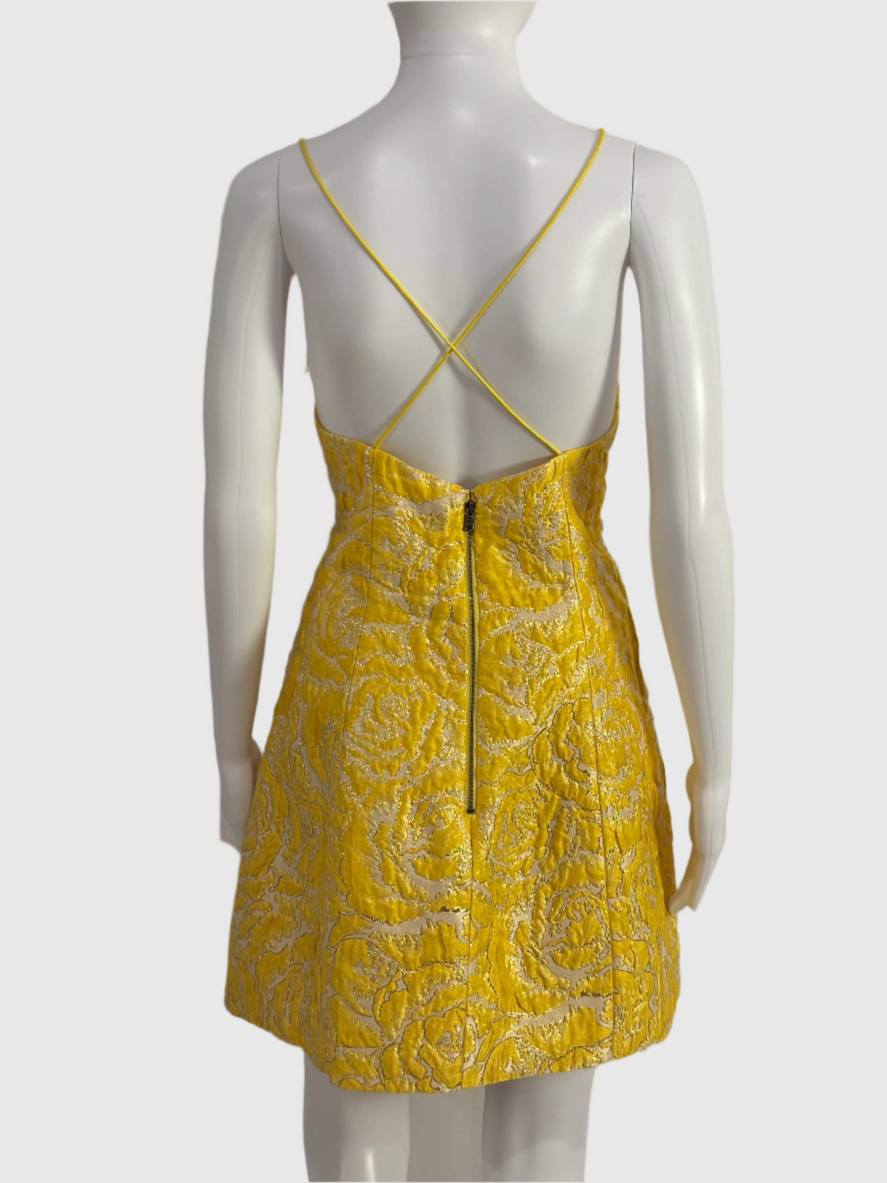 Alice and Olivia