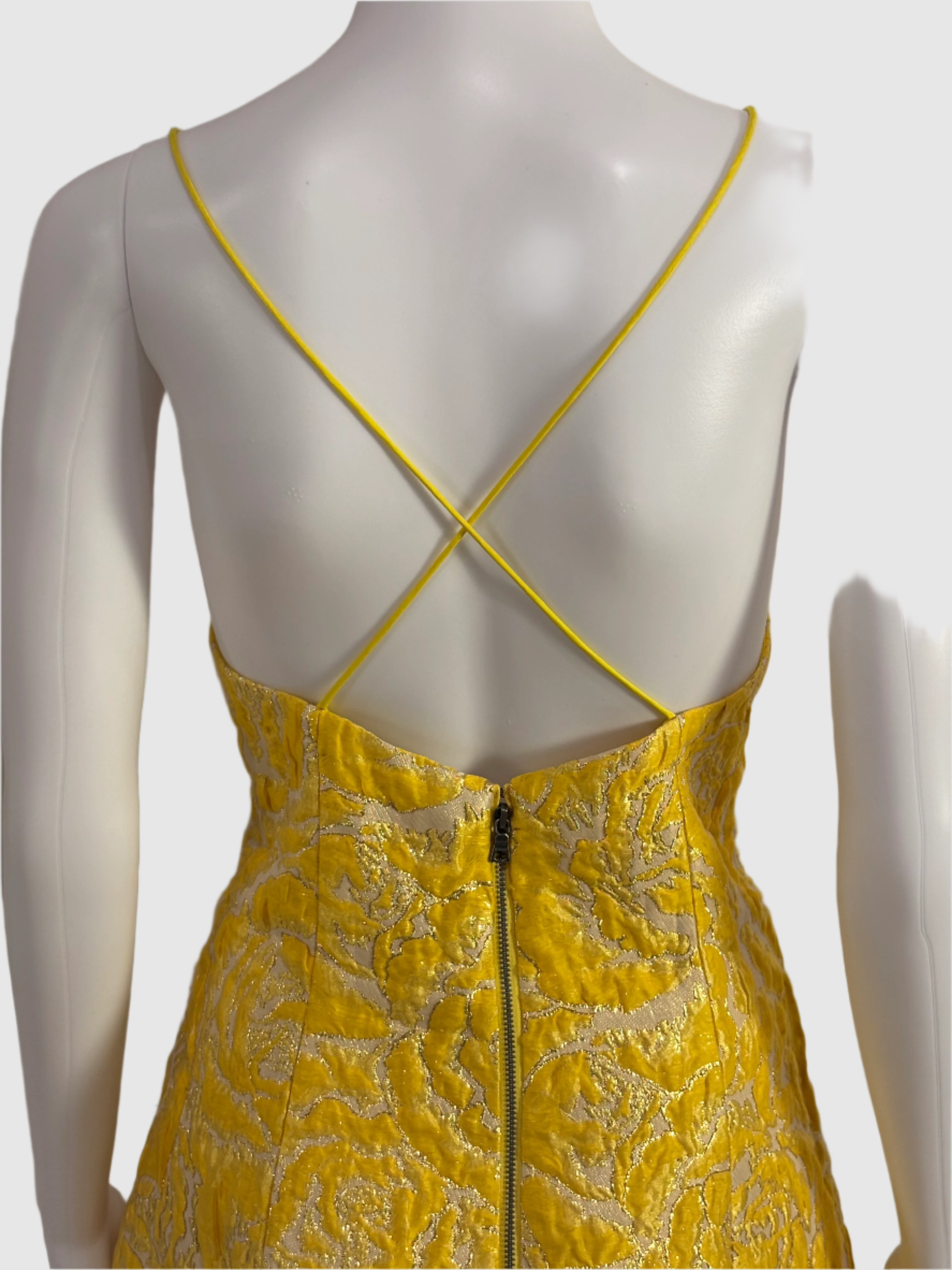 Alice and Olivia